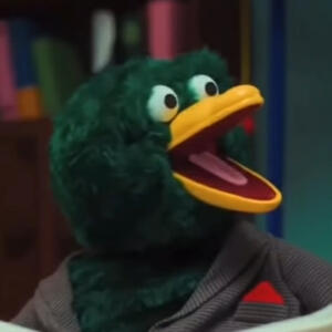 Duck (DHMIS)